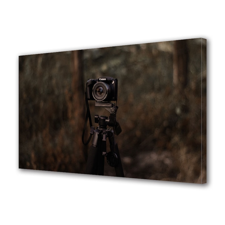 Tablou Canvas Premium, Art Star, Camera foto vintage in intuneric, Vintage, Panza pe cadru de lemn, Decoratiuni Moderne pentru Casa, 20 x 30 cm