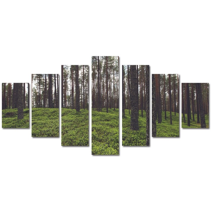Tablou Multicanvas 7 Piese Peisaje Padure rara, 90 x 175 cm