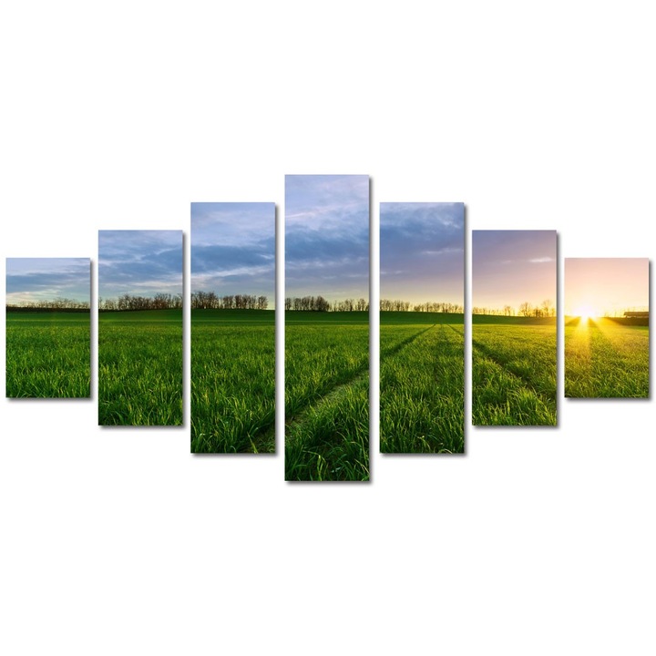 Tablou Multicanvas 7 Piese Peisaje Carari prin campie, 90 x 175 cm