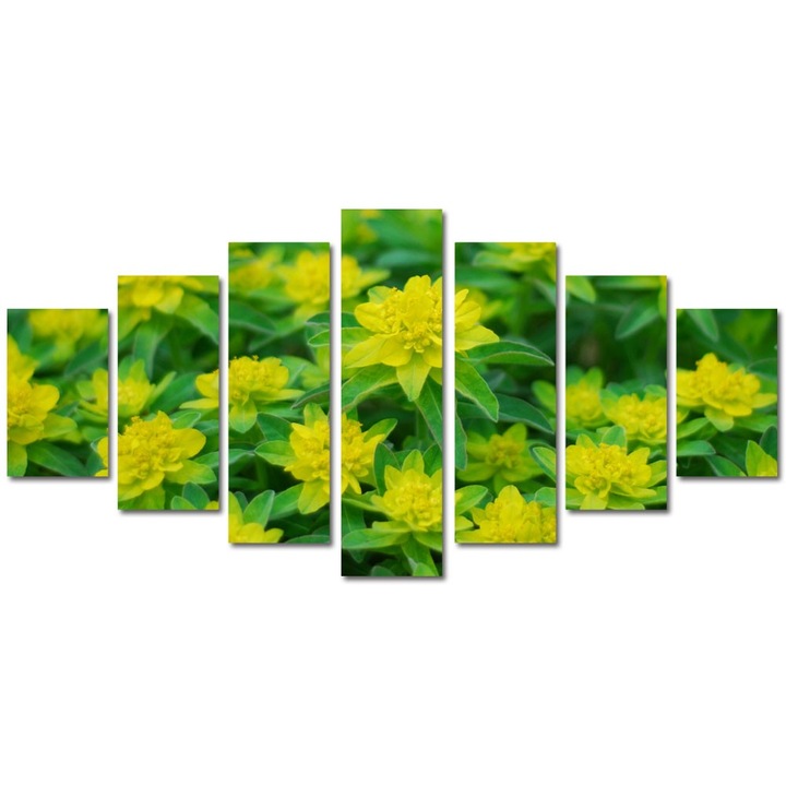 Tablou Multicanvas 7 Piese Peisaje Verde crud, 90 x 175 cm