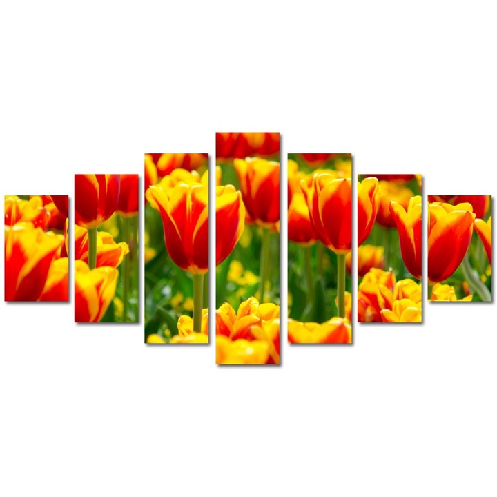 Tablou Multicanvas 7 Piese Peisaje Lalele in 2 culori, 90 x 175 cm