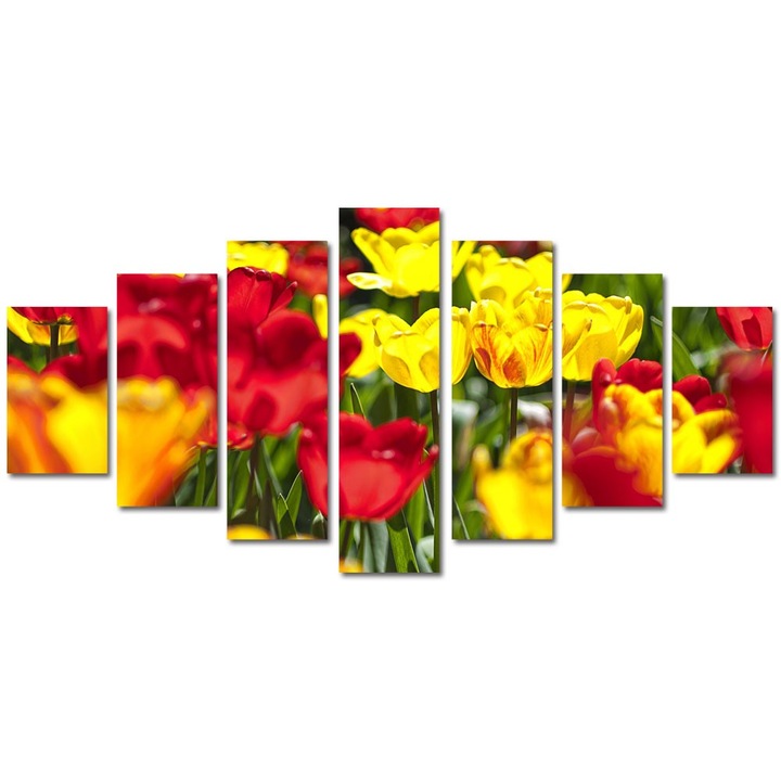 Tablou Multicanvas 7 Piese Peisaje Lalele, 90 x 175 cm