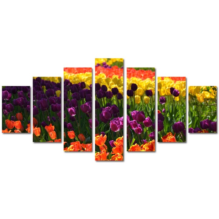 Tablou Multicanvas 7 Piese Peisaje Macro Olanda, 90 x 175 cm