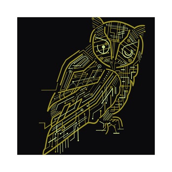 Poster -50x50 cm Bufnita electrica Poster -50x50 cm Bufnita electrica