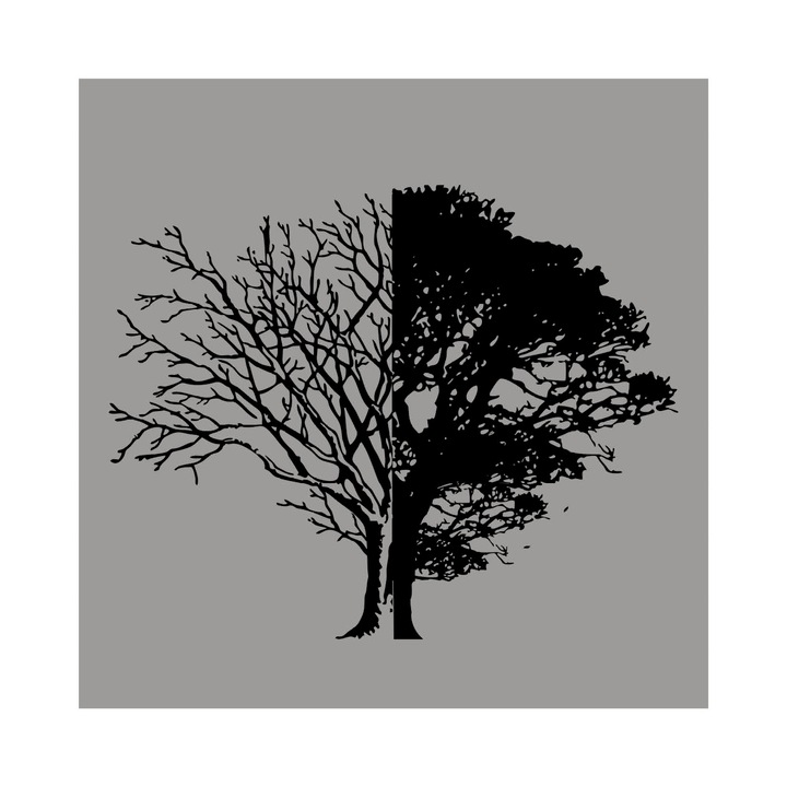 Poster -50x50 cm Viata si moarte