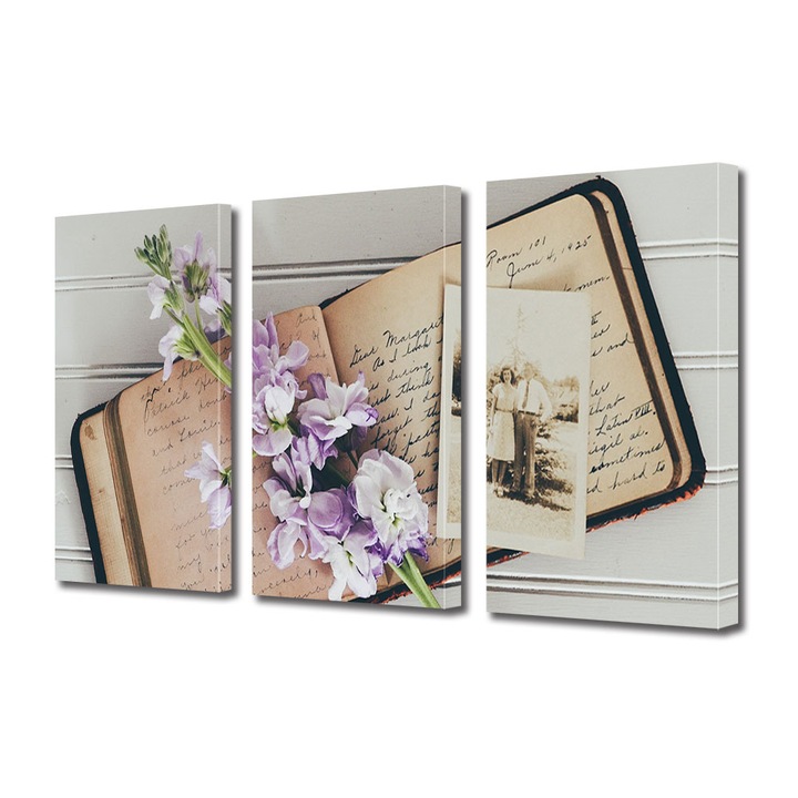 Set Tablouri Multicanvas 3 piese, Art Star, Flori si amintiri, Vintage, Panza pe cadru de lemn, Decoratiuni Moderne pentru Casa, 3 x 20 x 30 cm