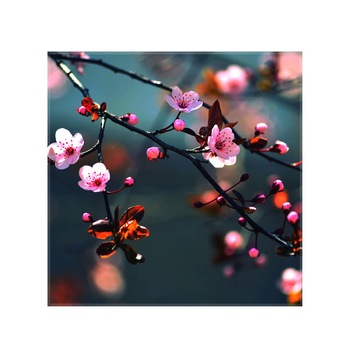 Sticla bucatarie securizata Saint Gobain Glass®, imprimata 65x65cm, protectie antistropire pentru aragaz, Ambra Deco, Flori Cires 2 Sticla bucatarie securizata Saint Gobain Glass®, imprimata 65x65cm, protectie antistropire pentru aragaz, Ambra Deco, Flori Cires 2