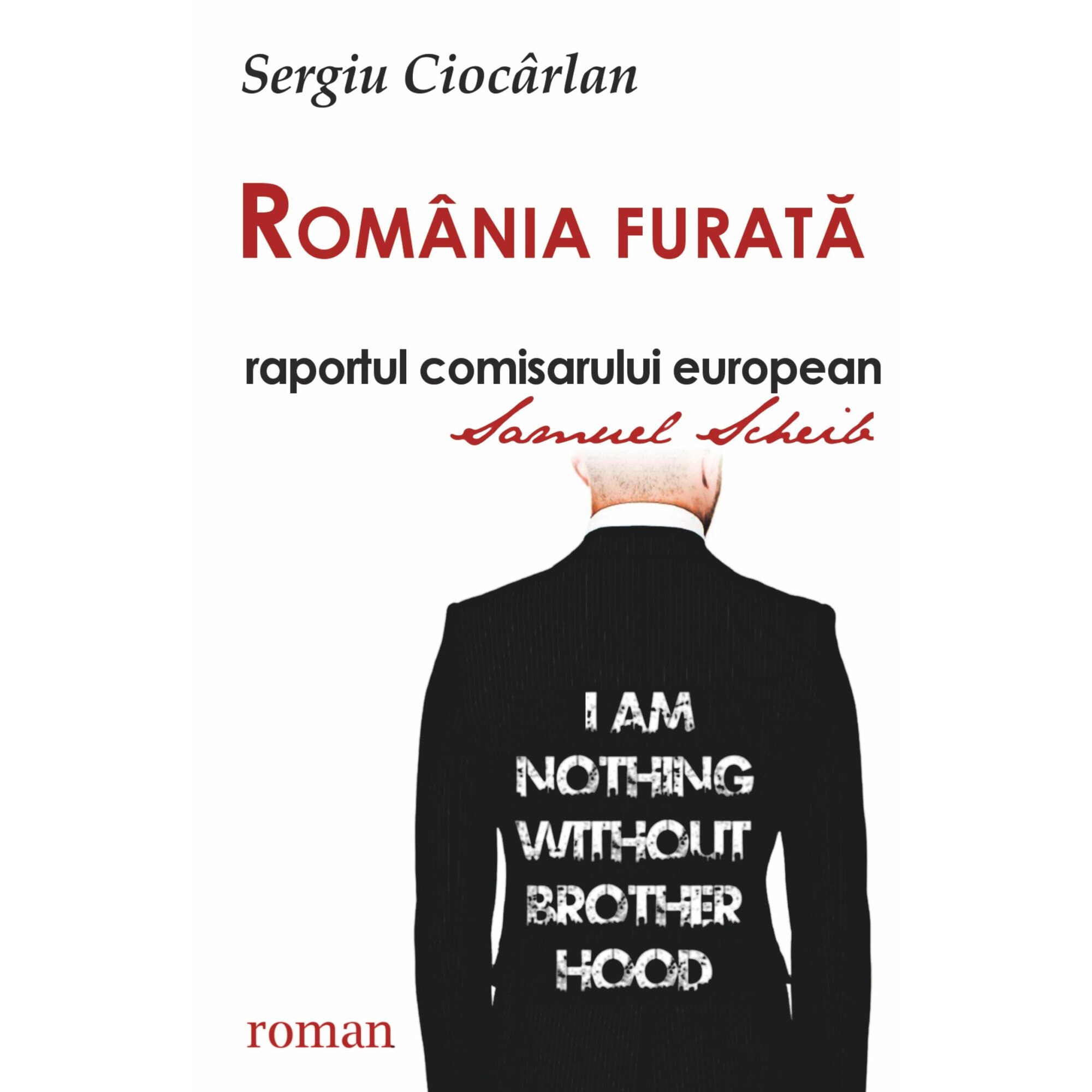 Romania furata, raportul comisarului european, Sergiu Ciocarlan