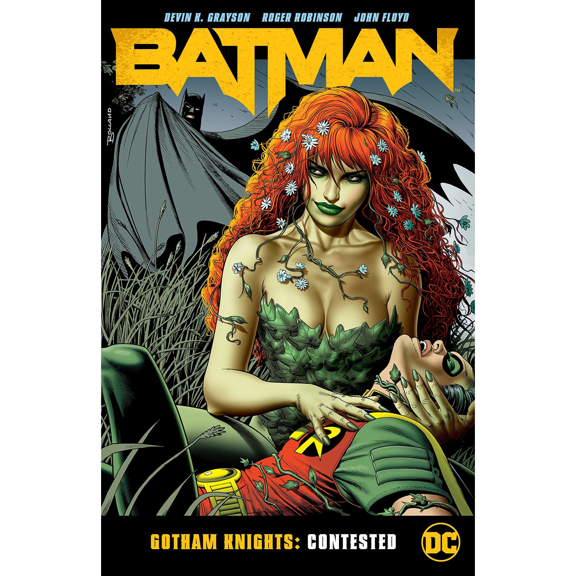 Batman - Gotham Knights: Contested - Devin Grayson