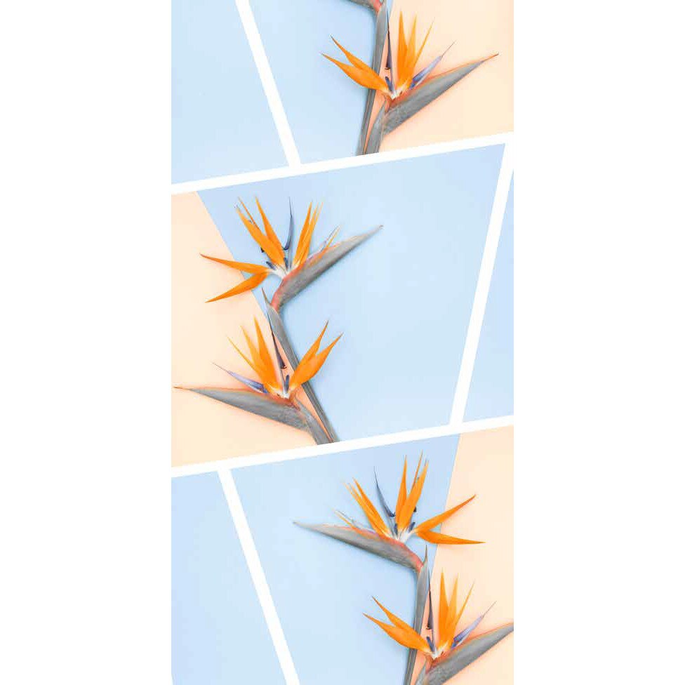 Prosop CASSATEX plaja , Mirror