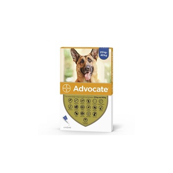 Solutie Antiparazitara, Advocate caini, 25-40 kg, 1 pipeta Solutie Antiparazitara, Advocate caini, 25-40 kg, 1 pipeta