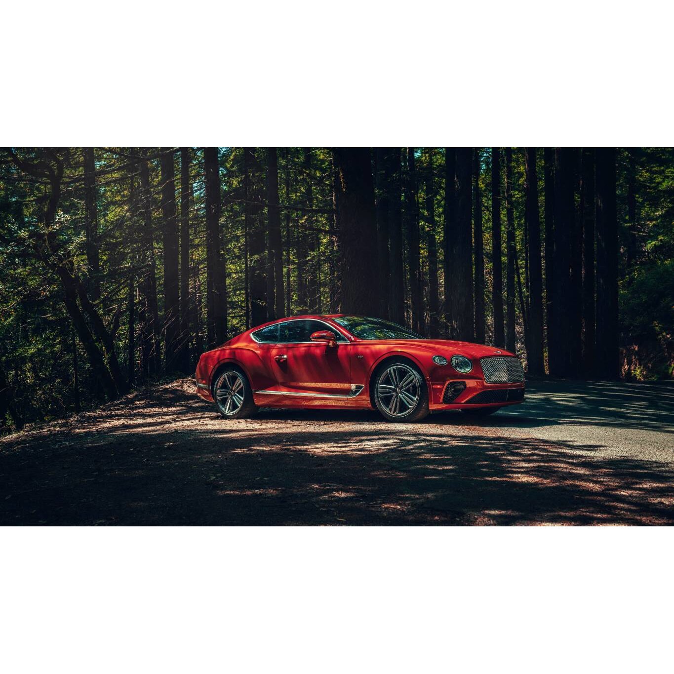 Tablou canvas 50x35 cm, Auto-Moto model 35