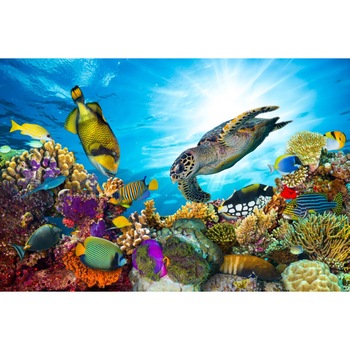 Fototapet Lumea acvatica, recif coral, 270 x 200 cm Fototapet Lumea acvatica, recif coral, 270 x 200 cm