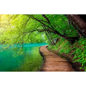 Fototapet de perete autoadeziv si lavabil Podet lemn peste rau in padure, 270 x 200 cm Fototapet de perete autoadeziv si lavabil Podet lemn peste rau in padure, 270 x 200 cm