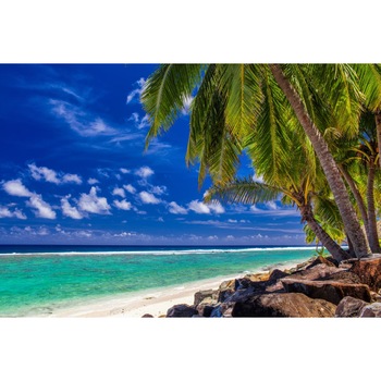 Fototapet Palmieri, plaja tropicala, 270 x 200 cm Fototapet Palmieri, plaja tropicala, 270 x 200 cm