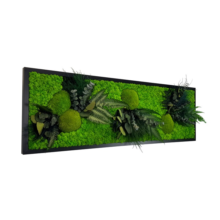 Tablou licheni, Jolie Arts, Model Green Day cu Licheni, dimensiune 40 x 130 cm, rama neagra