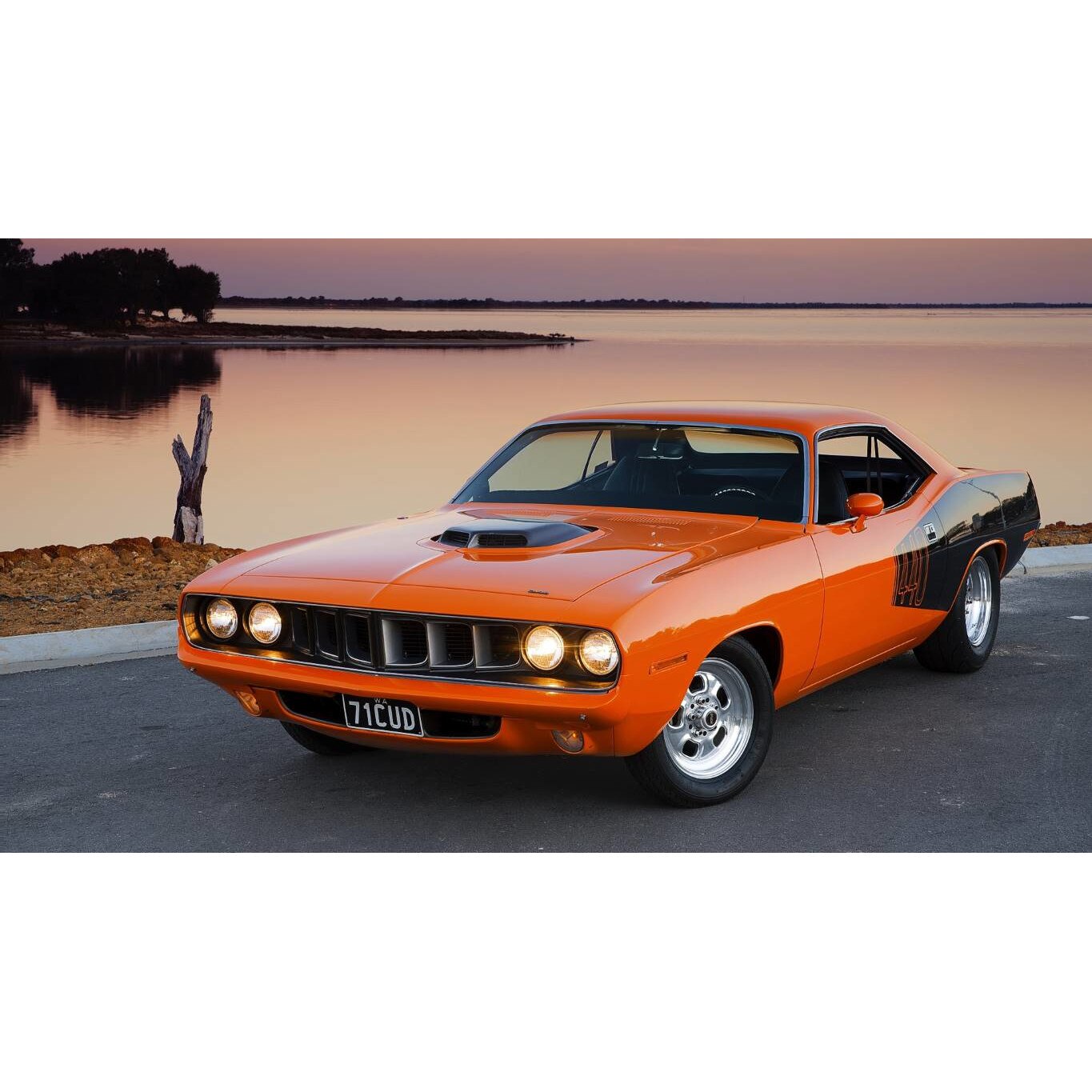 Tablou canvas 90x50 cm, Auto-Moto model 312