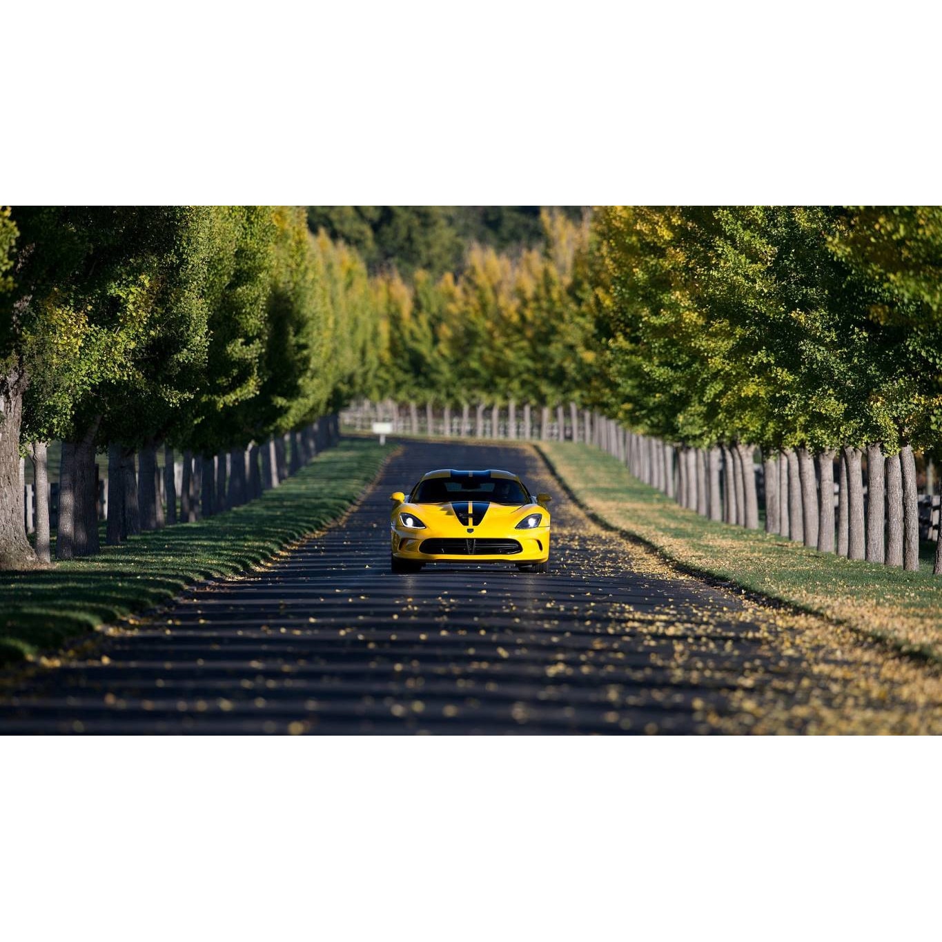 Tablou canvas 50x35 cm, Auto-Moto model 298