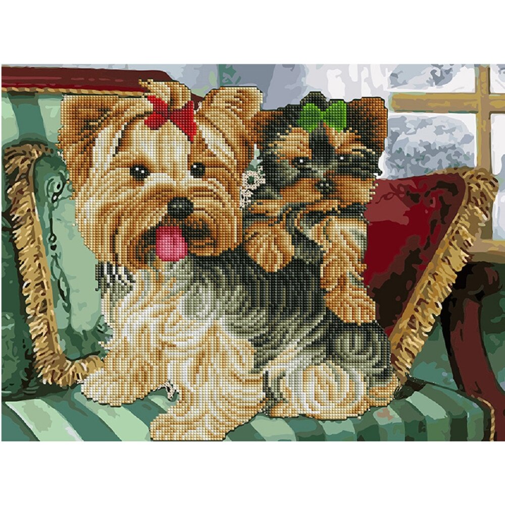 Pictura pe numere Mix combinata cu Mozaic cu diamante , 40X50 cm ACK008