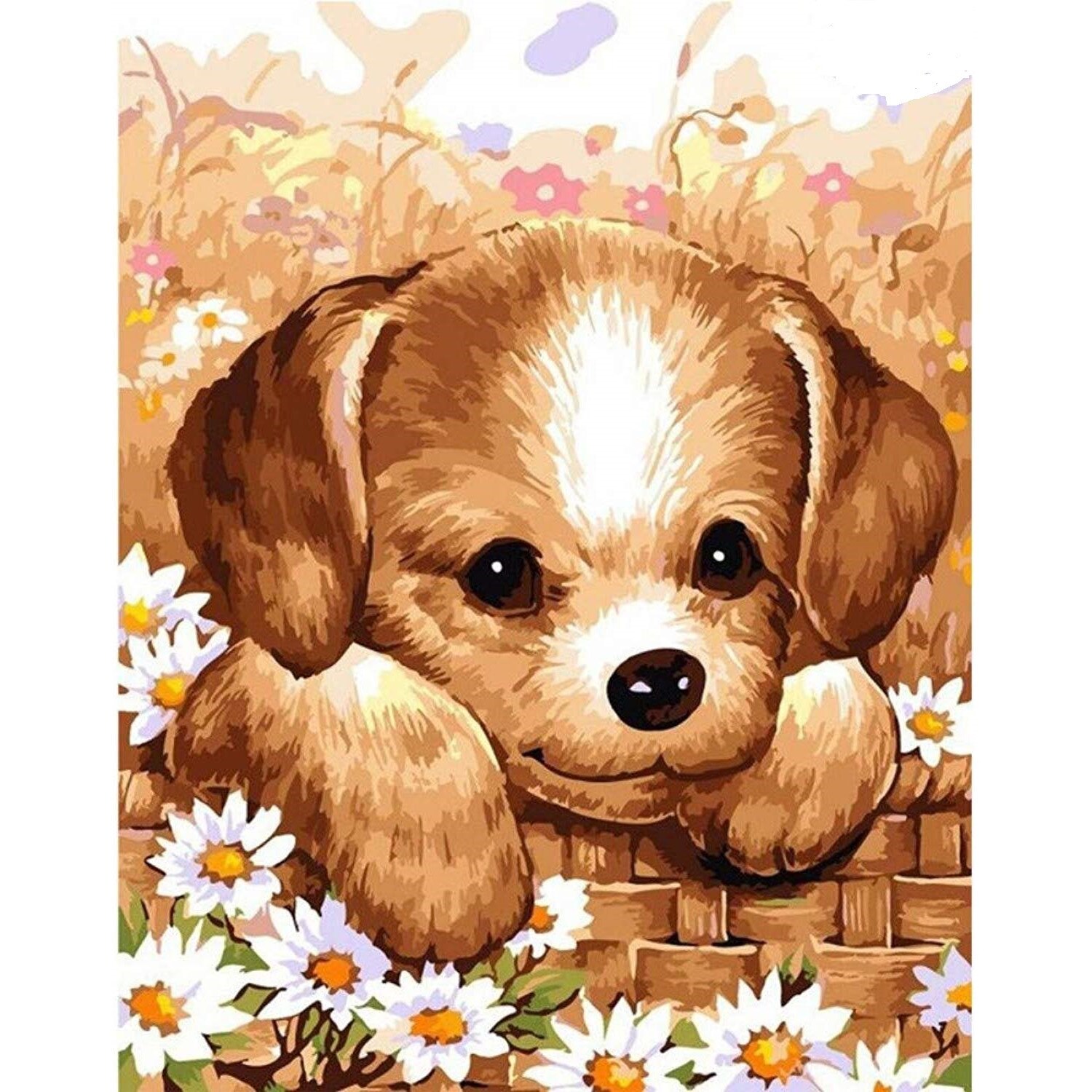 Pictura pe numere, panza pe rama 40X50 cm A099