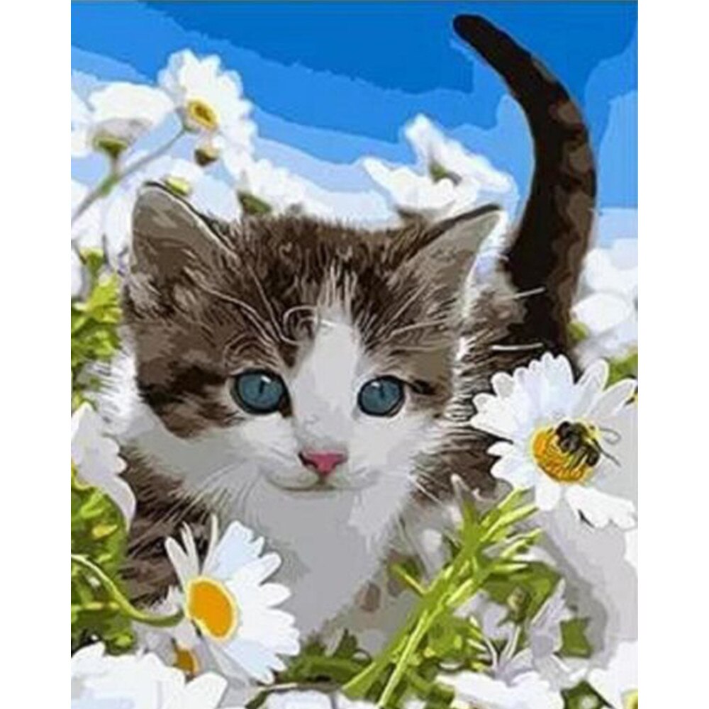 Pictura pe numere, panza pe rama 40X50 cm A076