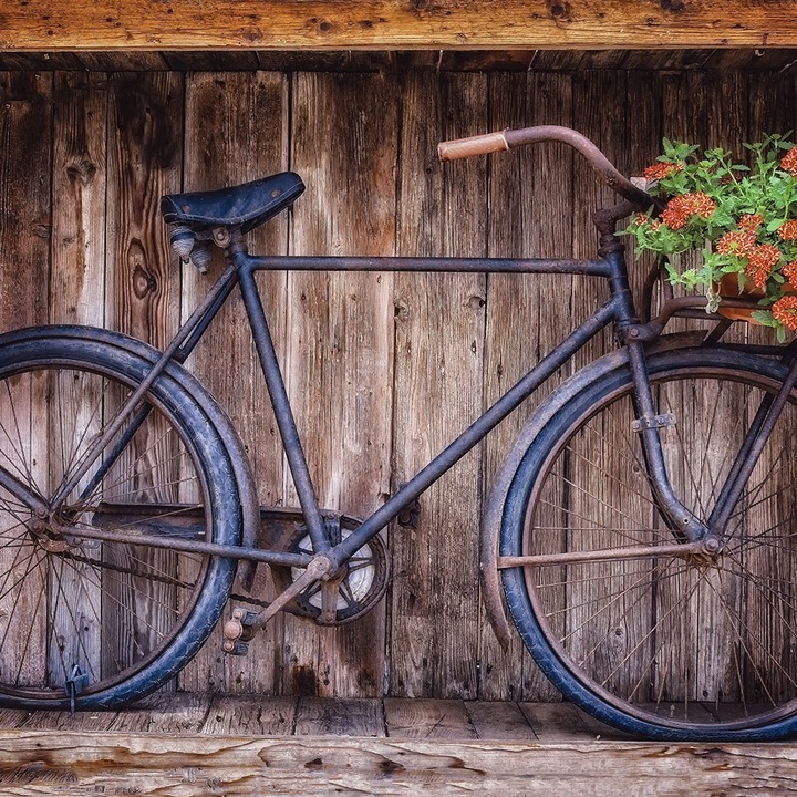 Autocolant Art Star pentru mobilier, Bicicleta decorativa cu flori, Vintage, autoadeziv, latime 50 cm x lungime 50 cm