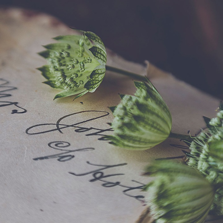 Autocolant Art Star pentru mobilier, Plante verzi si un bilet cu mesaj, Vintage, autoadeziv, latime 50 cm x lungime 50 cm