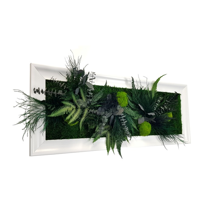 Tablou licheni, Jolie Arts, Model Green Day, rama alb lucios, dimensiune 40 x 100 cm
