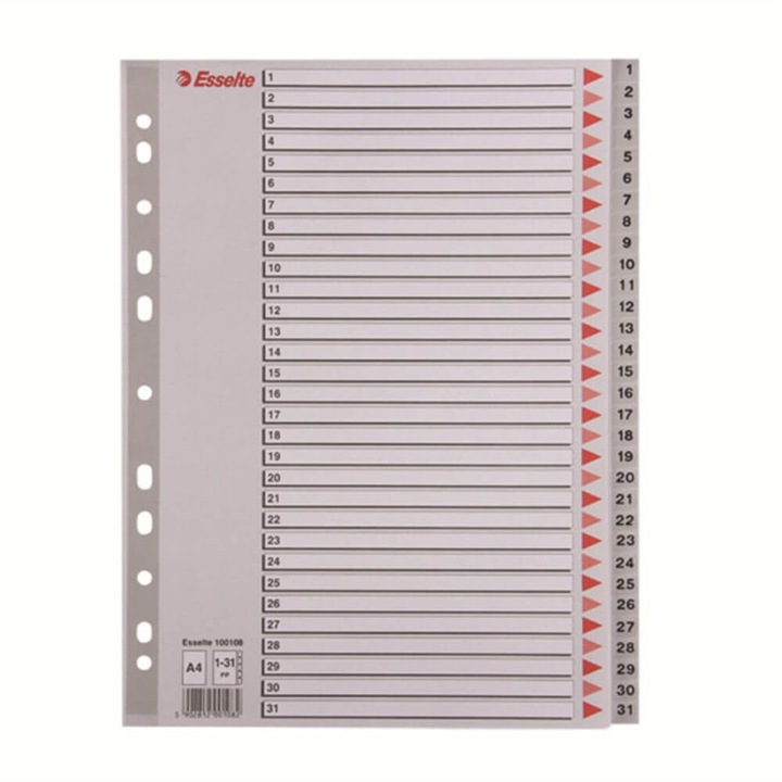 Index A4 Esselte, cu 31 Separatoare, Plastic, Gri, Index de Plastic cu Separatoare 1-31, Index de Plastic Numerotat cu Separatoare, Index de la 1 la 31, Index Arhiva, Index Dosar, Index Caiet Mecanic, Index Organizare, Index Biblioraft