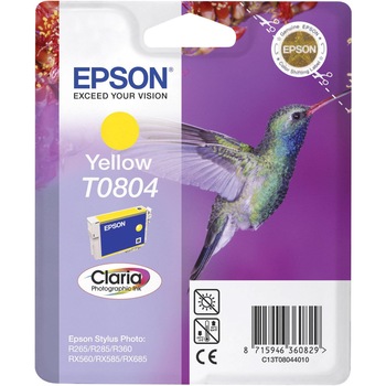 Imagini EPSON FLSEPINK-T080440 - Compara Preturi | 3CHEAPS