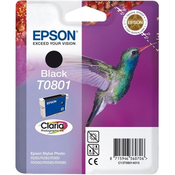 Imagini EPSON FLSEPINK-T080140 - Compara Preturi | 3CHEAPS