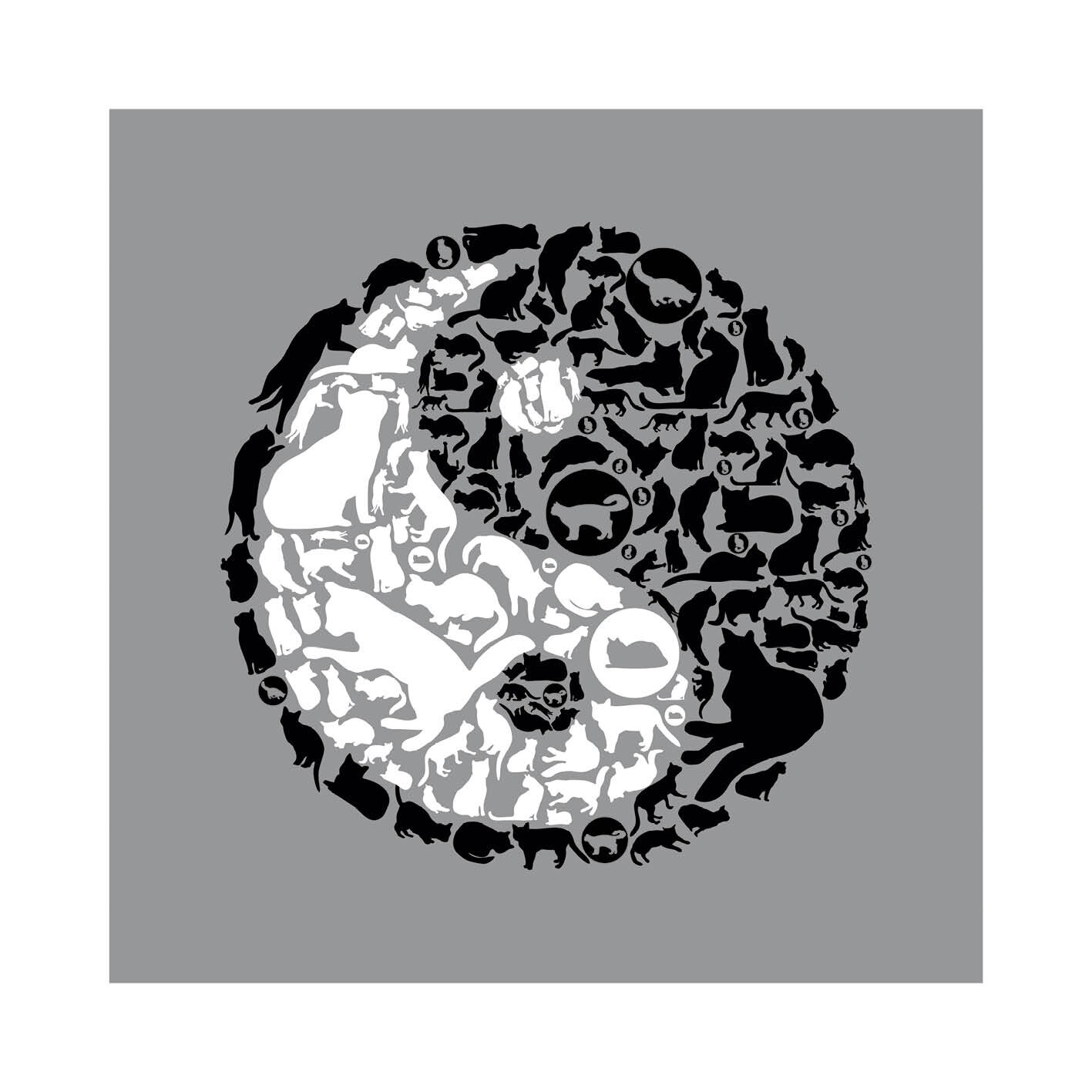 Poster 50x50 cm Ying yang pisici