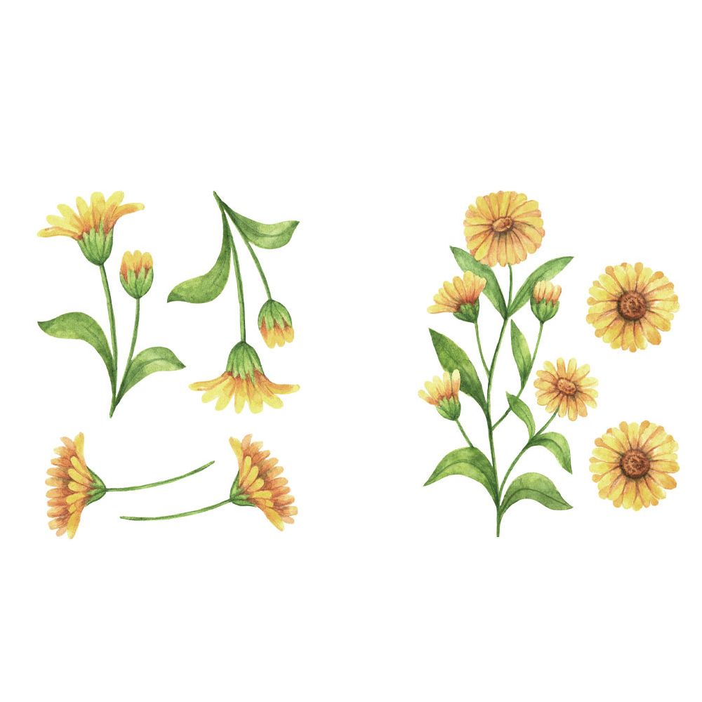 Sticker decorativ cu Margarete, 6 coli autocolante, 14.8x21 cm, galben/verde