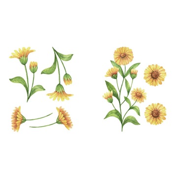 Sticker decorativ cu Margarete, 6 coli autocolante, 14.8x21 cm, galben/verde Sticker decorativ cu Margarete, 6 coli autocolante, 14.8x21 cm, galben/verde