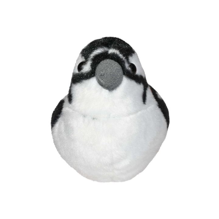 Pasare cu sunet Ciocanitoare Pestrita - GREAT SPOTTED WOODPECKER