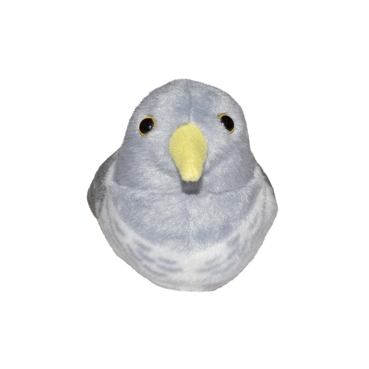 Pasare cu sunet Cuc - COMMON CUCKOO