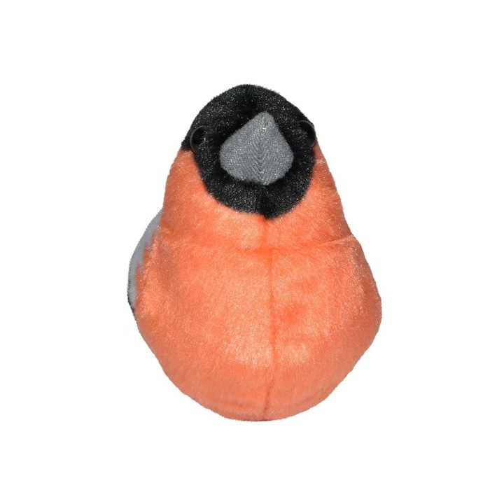 Pasare cu sunet Mugurar - BULLFINCH