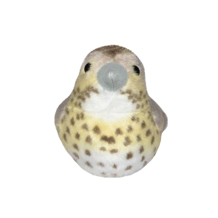 Pasare cu sunet Sturz cantator - SONG THRUSH