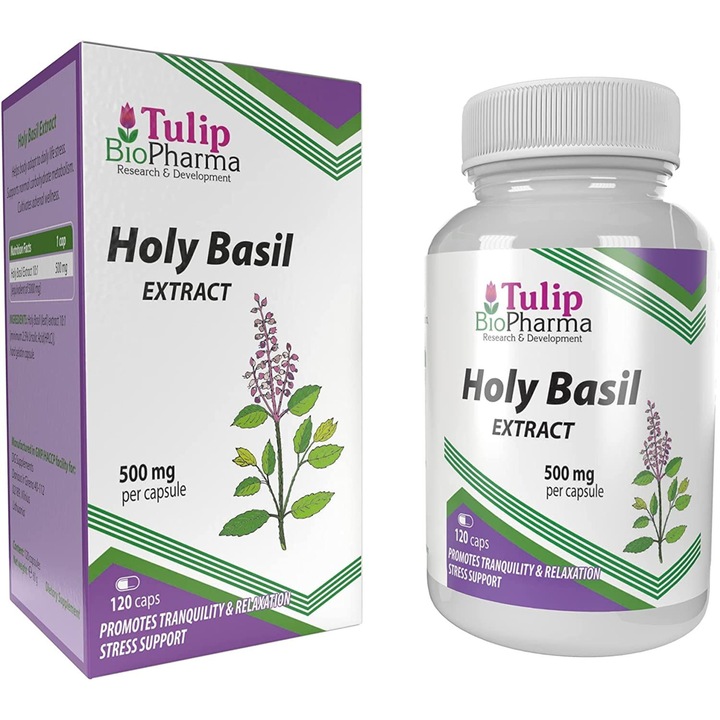 Holy Basil 120 Capsule, 5000mg Echivalent 500mg of 10 to 1 Extract