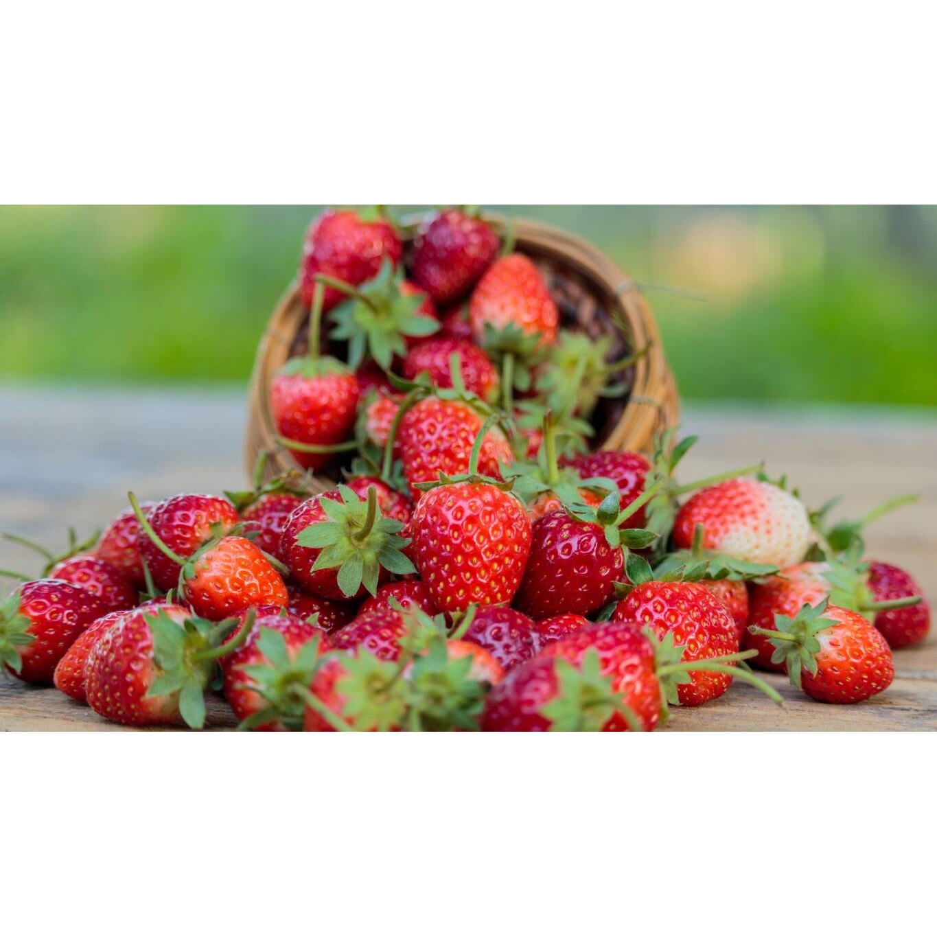 Tablou canvas 90x50 cm, Mancare si Bautura model 64