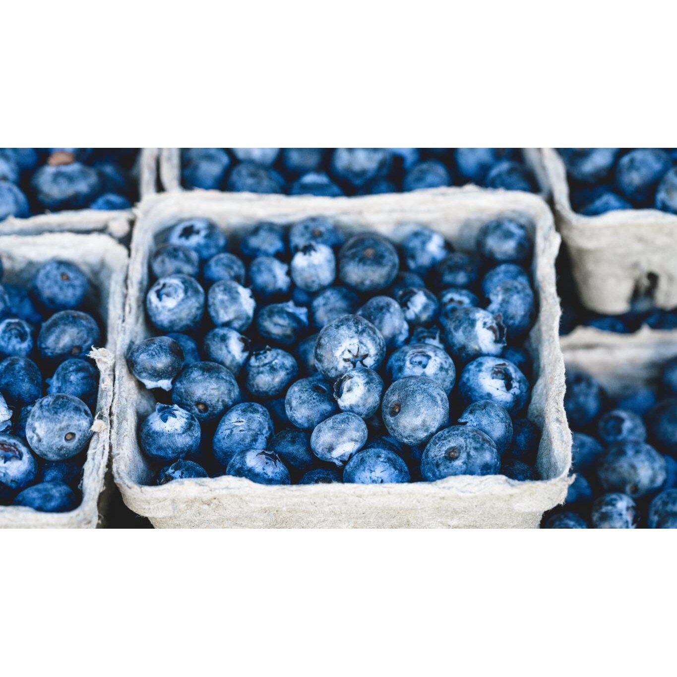 Tablou canvas 50x35 cm, Mancare & Bautura model 1