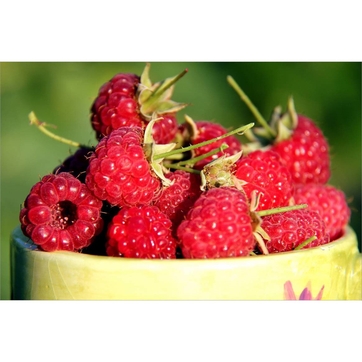 Tablou canvas 75x50 cm, Mancare si Bautura model 32