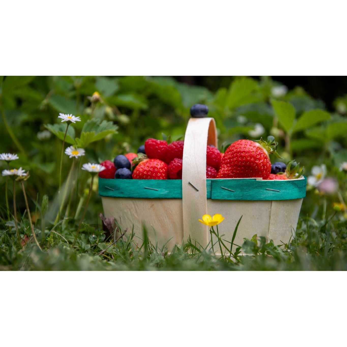 Tablou canvas 75x50 cm, Mancare si Bautura model 72