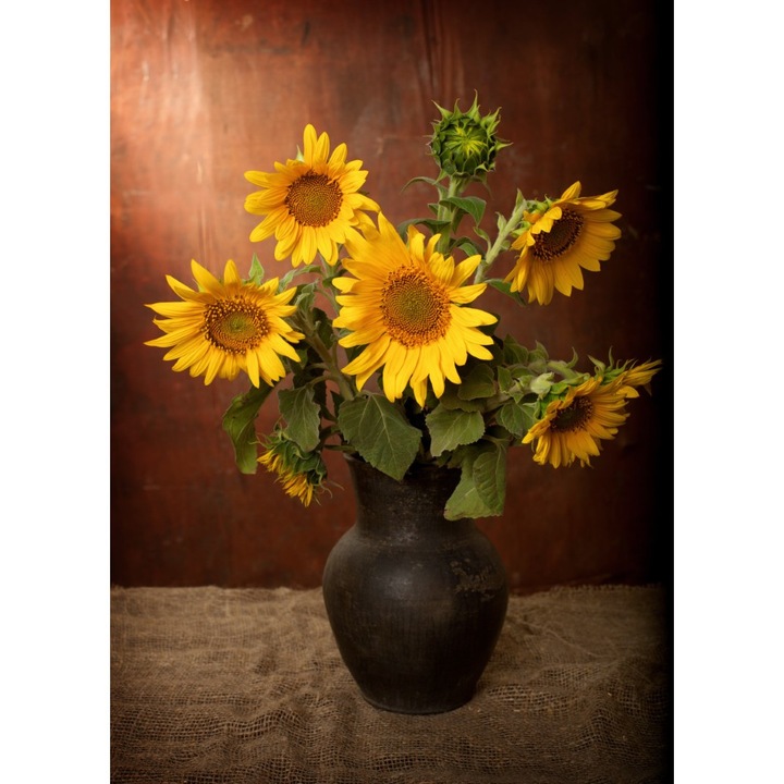 Fototapet Buchet floarea soarelui, 200 x 255 cm