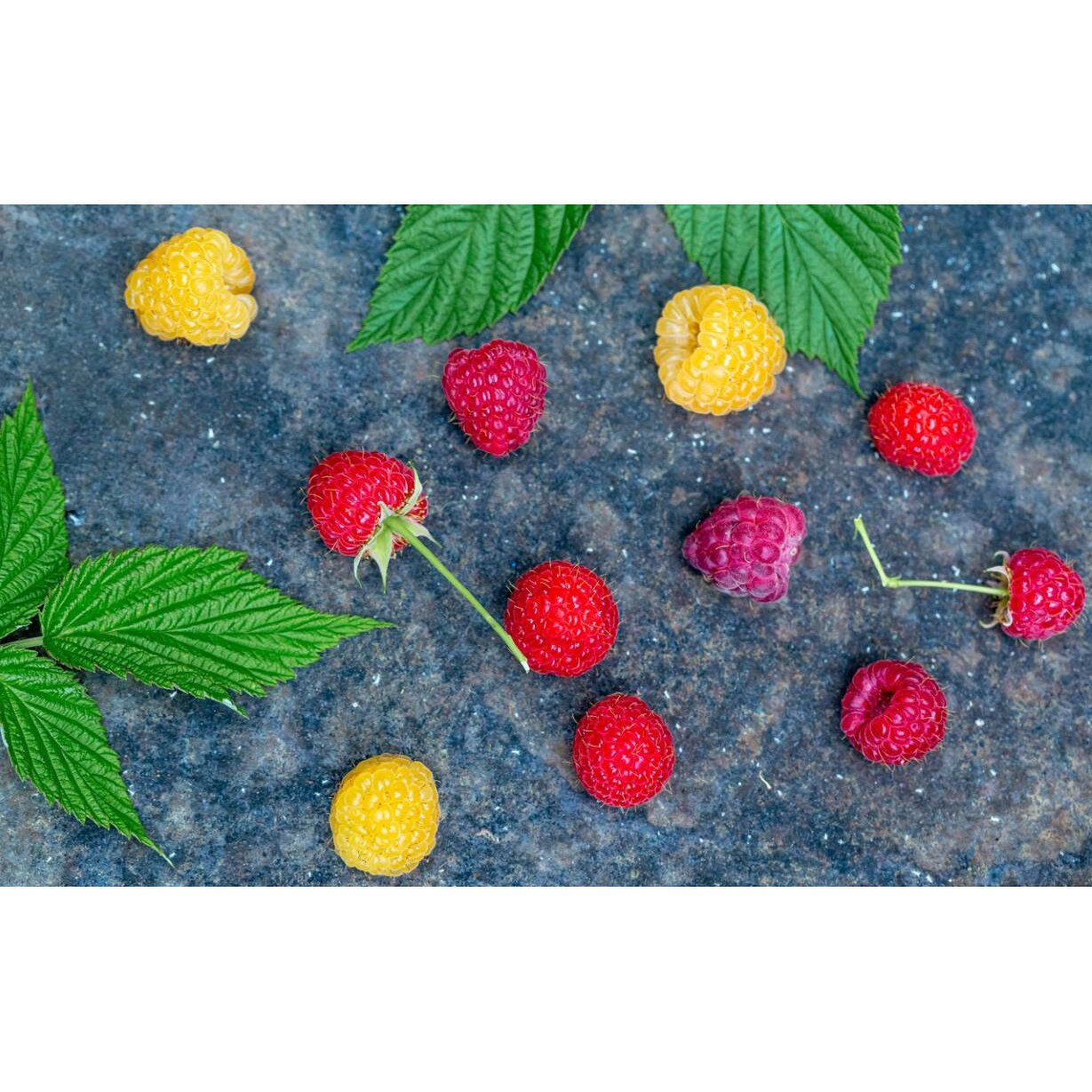 Tablou canvas 50x35 cm, Mancare & Bautura model 220