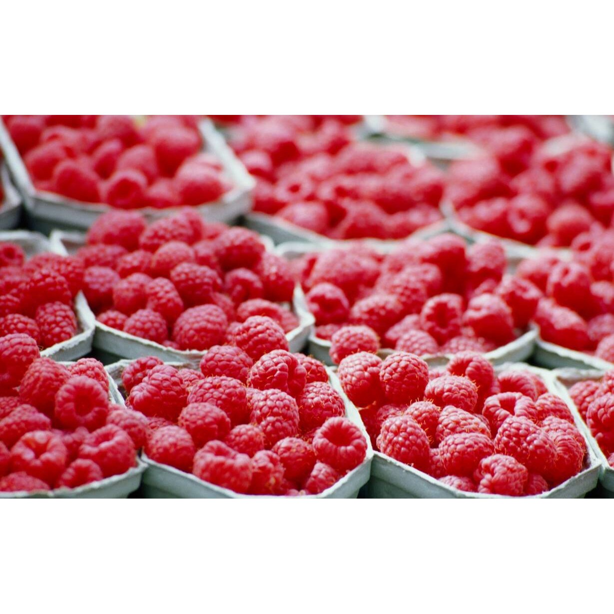 Tablou canvas 50x35 cm, Mancare & Bautura model 234