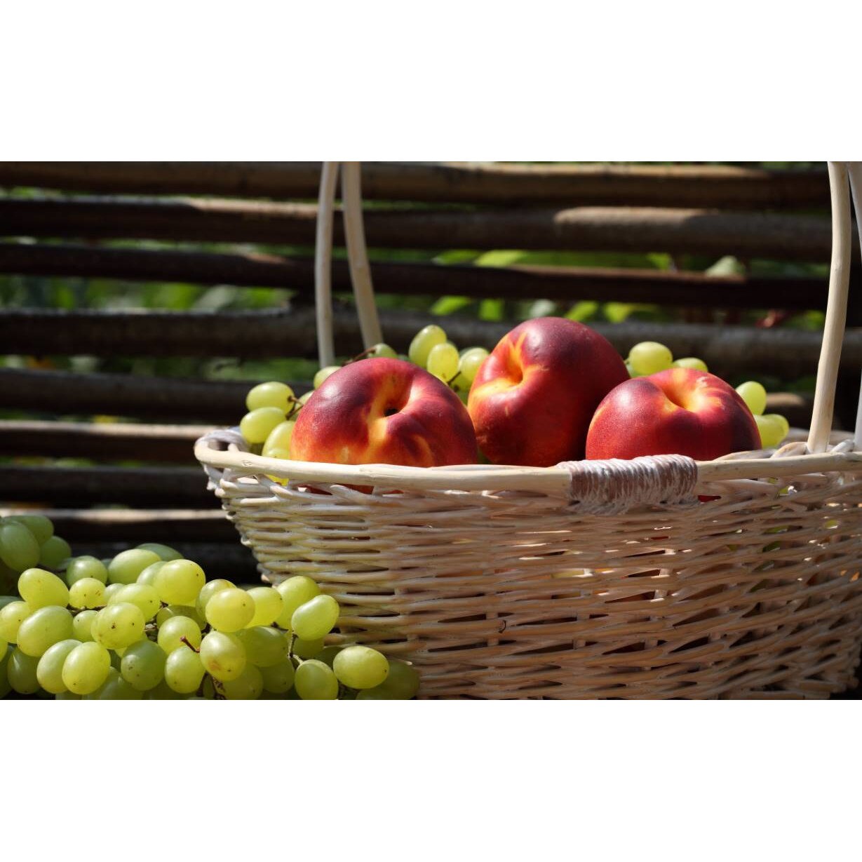 Tablou canvas 75x50 cm, Mancare si Bautura model 273