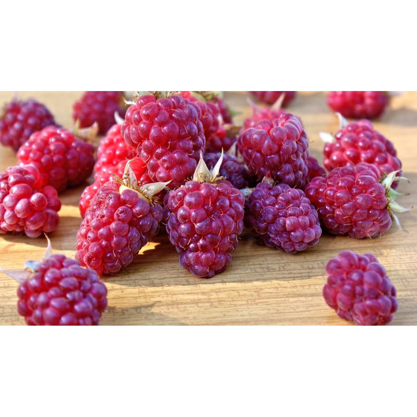 Tablou canvas 50x35 cm, Mancare & Bautura model 235