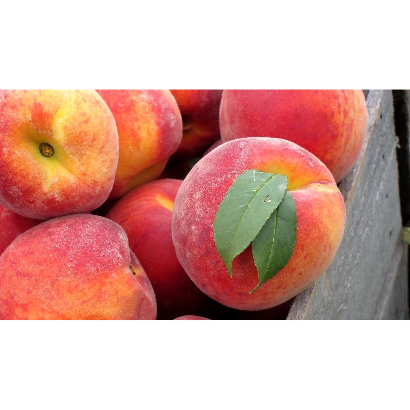 Tablou canvas 75x50 cm, Mancare si Bautura model 271