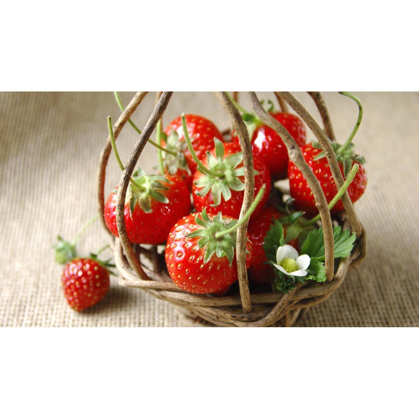 Tablou canvas 50x35 cm, Mancare & Bautura model 312